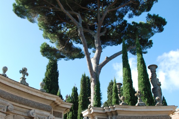 gtiardini Palazzo Farnese